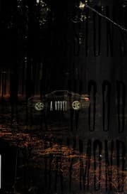 Confessions from a dark wood