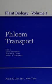Phloem transport