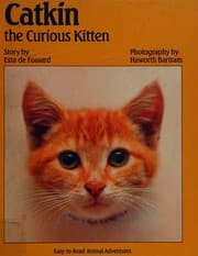 Catkin, the curious kitten
