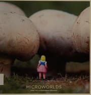 Microworlds