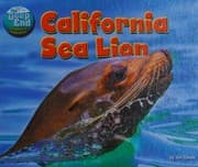 California Sea Lion