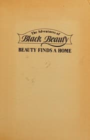 The adventures of Black Beauty, Beauty finds a home