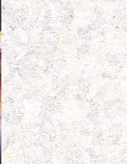 Color the Cover Seashells Journal