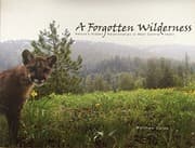A forgotten wilderness