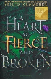 Heart So Fierce and Broken