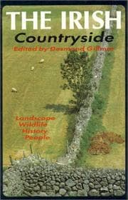 The Irish countryside