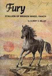Fury, stallion of Broken Wheel Ranch