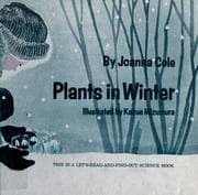 Plants in winter