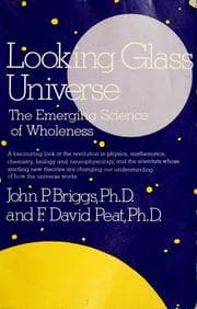 Looking glass universe