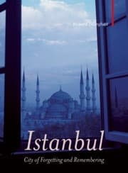 Istanbul
            
                Armchair Traveller