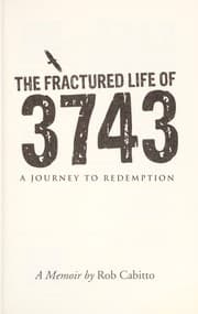 The fractured life of 3743