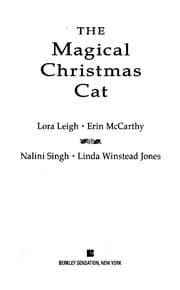 The magical Christmas cat