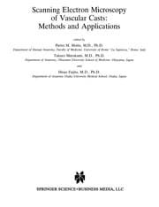 Scanning Electron Microscopy of Vascular Casts: Methods and Applications