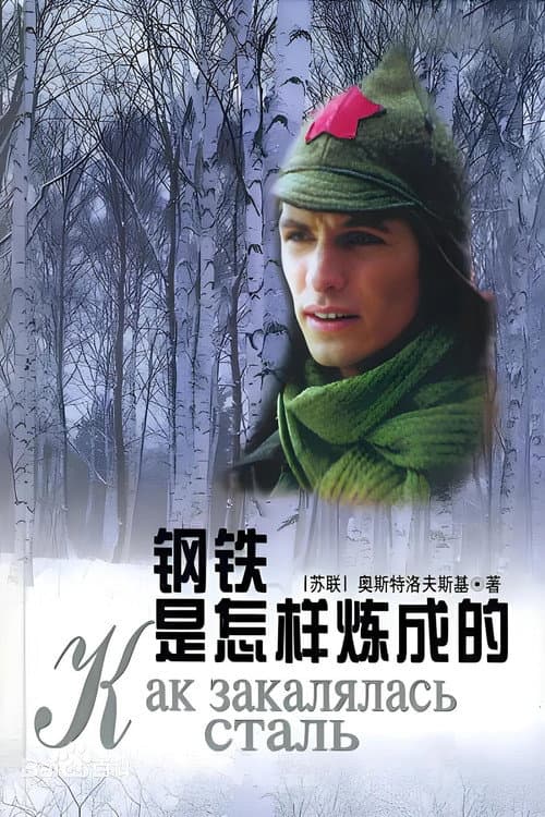 钢铁是怎样练成的