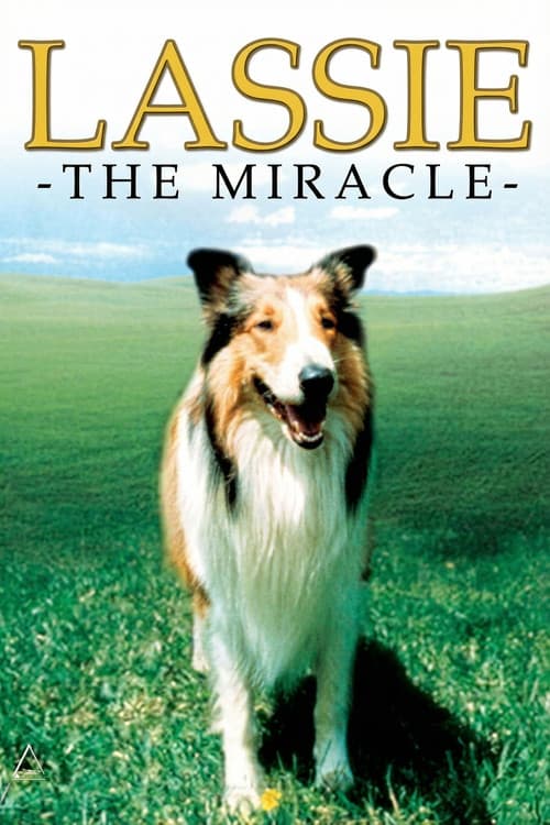 Lassie: The Miracle