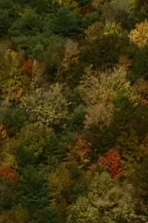 Color Study