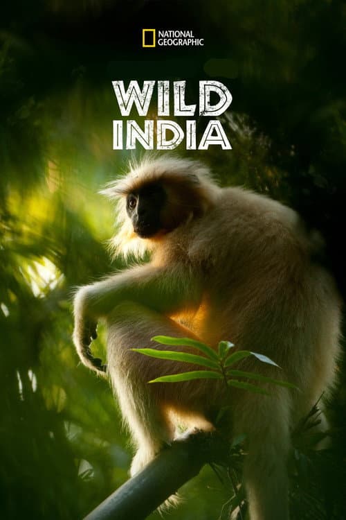 Wild India