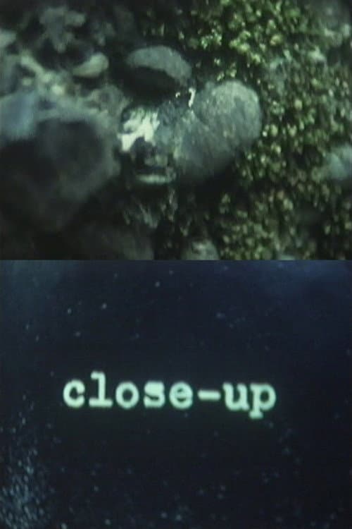 Close-Up