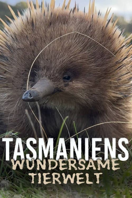 Tasmania’s Wild Treasures