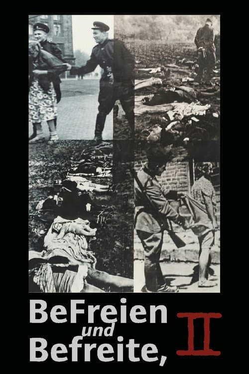 Liberators Take Liberties, part 2