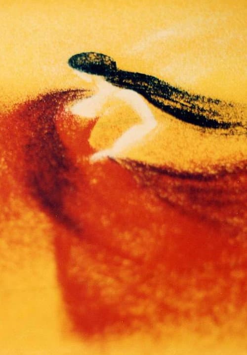 Carmen Suite