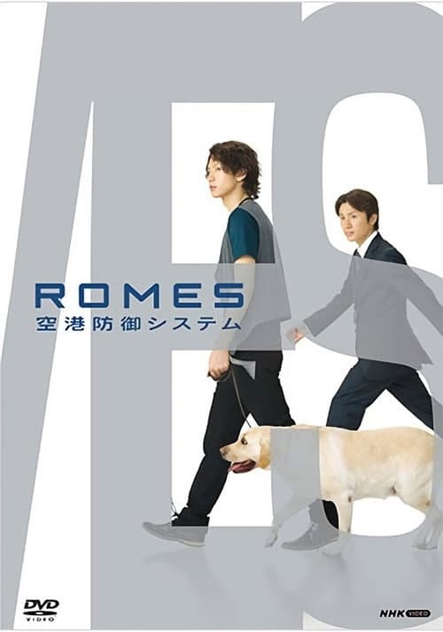 ROMES 空港防御システム