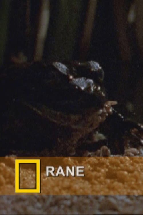Fearsome Frogs