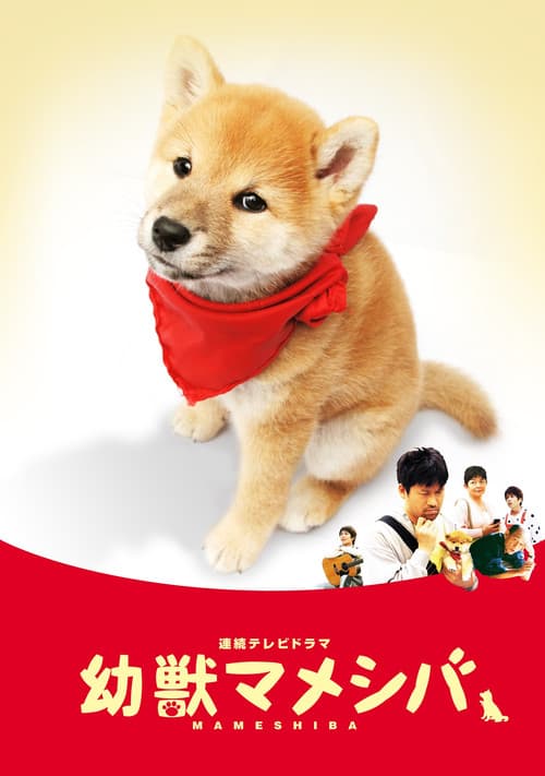 Mameshiba Cubbish Puppy