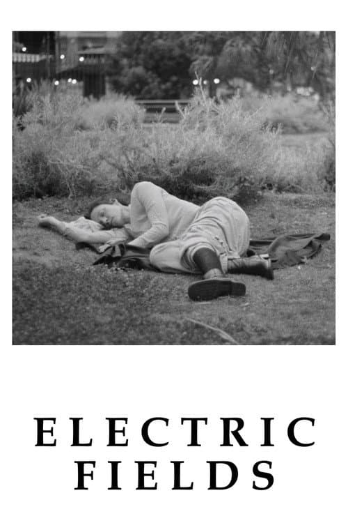 Electric Fields