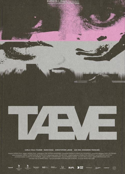 Tæve