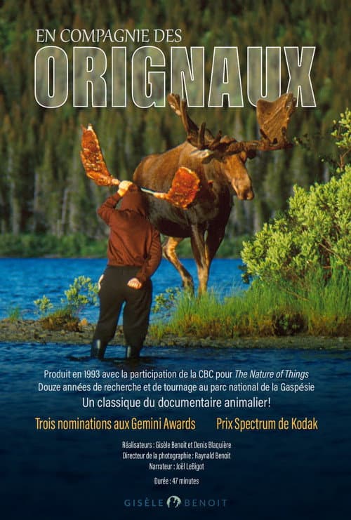 En compagnie des orignaux