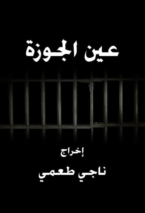 Ain El Jawze