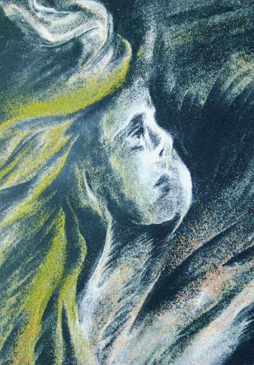 Ave Maria (Ellens Gesang III) D. 839