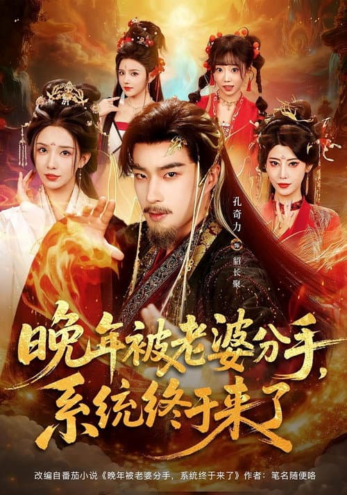 晚年被老婆分手,系统终于来了