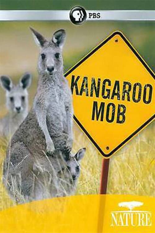 Kangaroo Mob