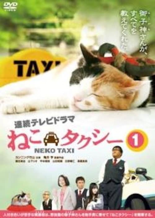 Cat Taxi