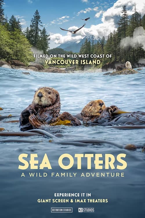 Sea Otters: A Wild Family Adventure