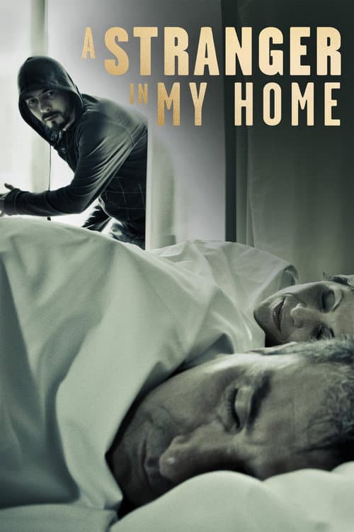 A Stranger in My Home