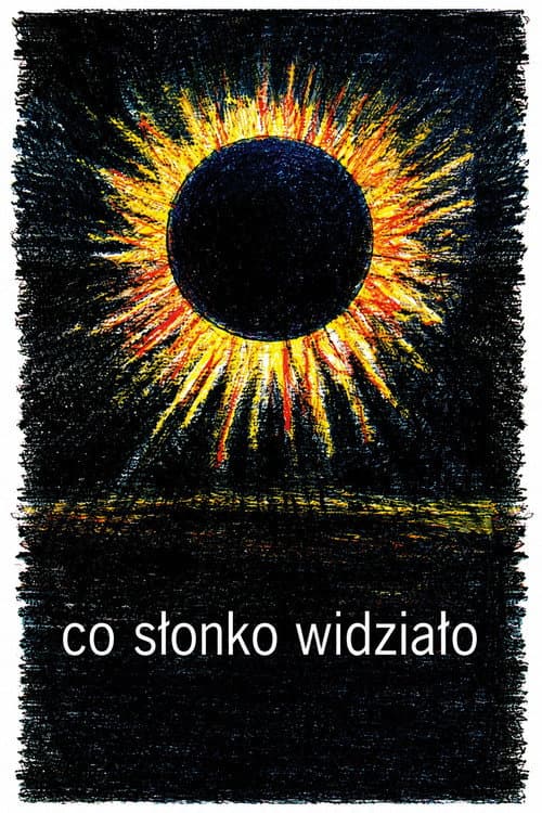 What the Sun Saw