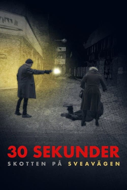 30 sekunder: Skotten på Sveavägen