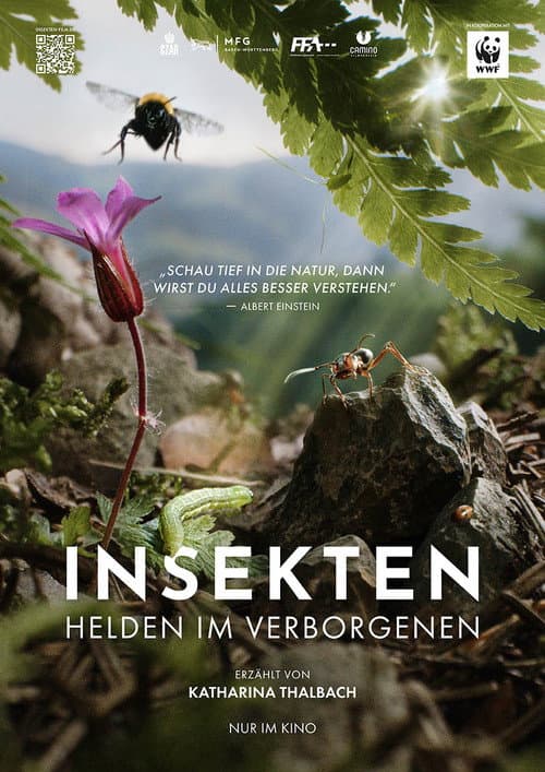 Insects – Hidden Heroes