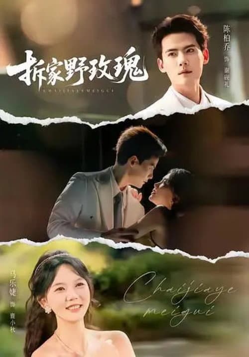 拆家野玫瑰