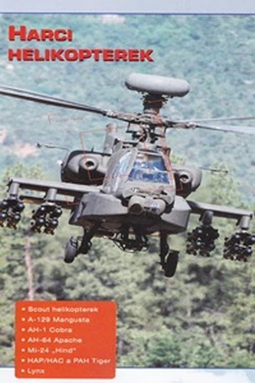 Combat in the Air - Attack Helikopters