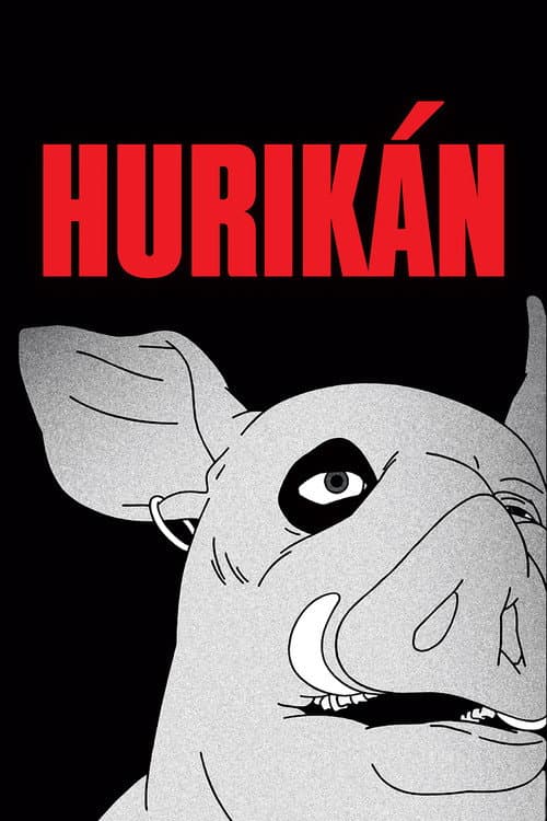 Hurikán