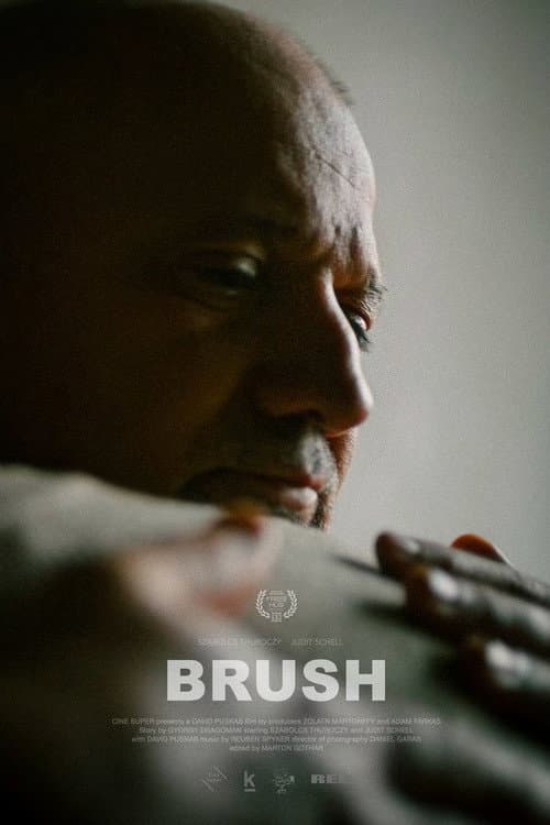 Brush