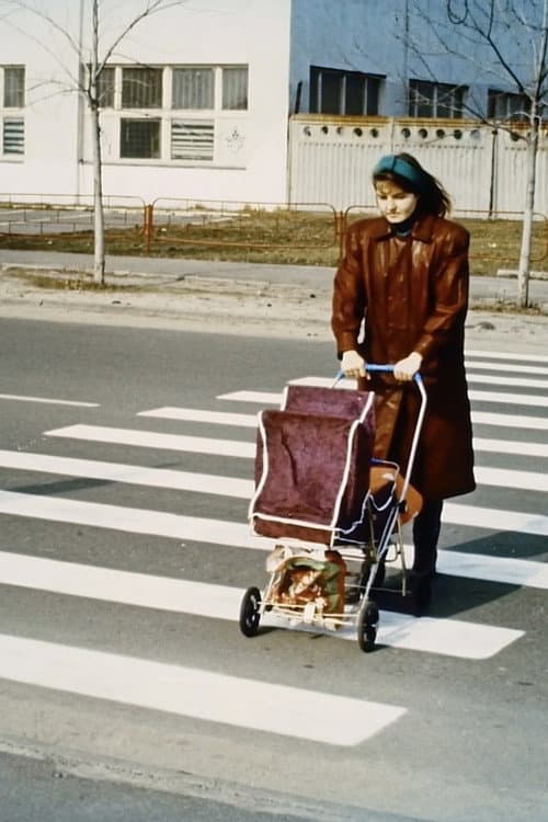 Pedestrian Crossing