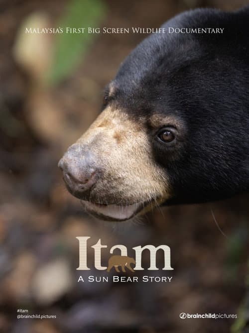 Itam: A Sun Bear Story