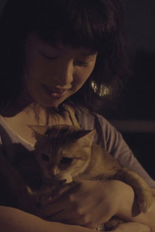 Stray Cat