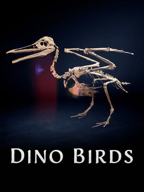 Dino Birds