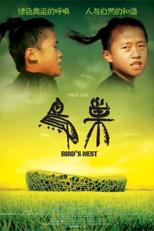Bird's Nest